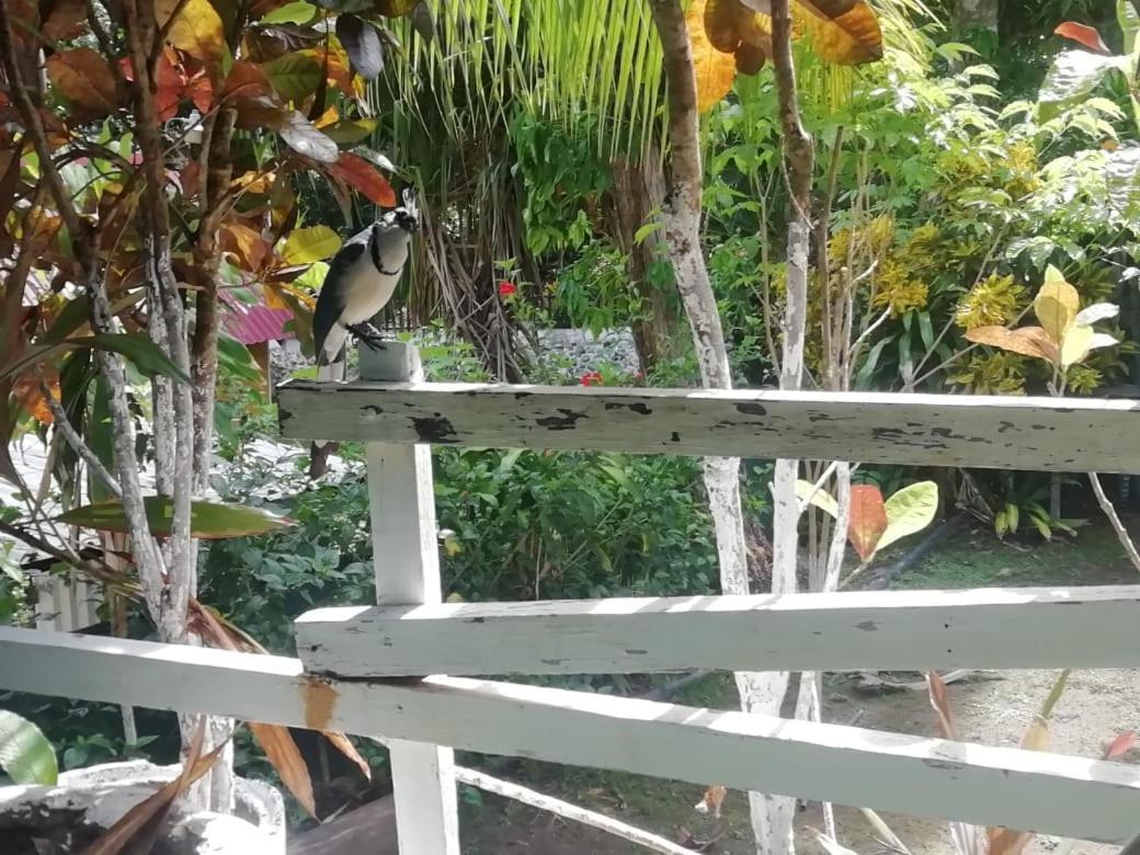 Donde Familia Manito Panzió Paquera Kültér fotó